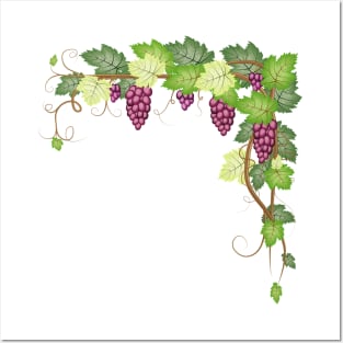 Grape Art Posters and Art